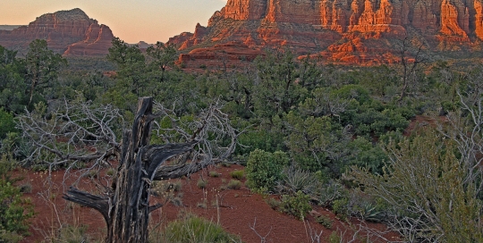 Cathedral Rock